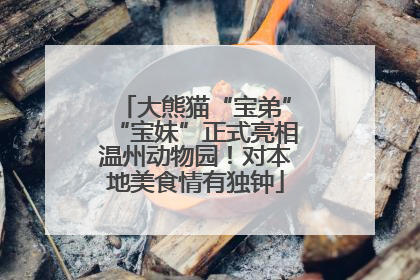 大熊猫“宝弟”“宝妹”正式亮相温州动物园！对本地美食情有独钟